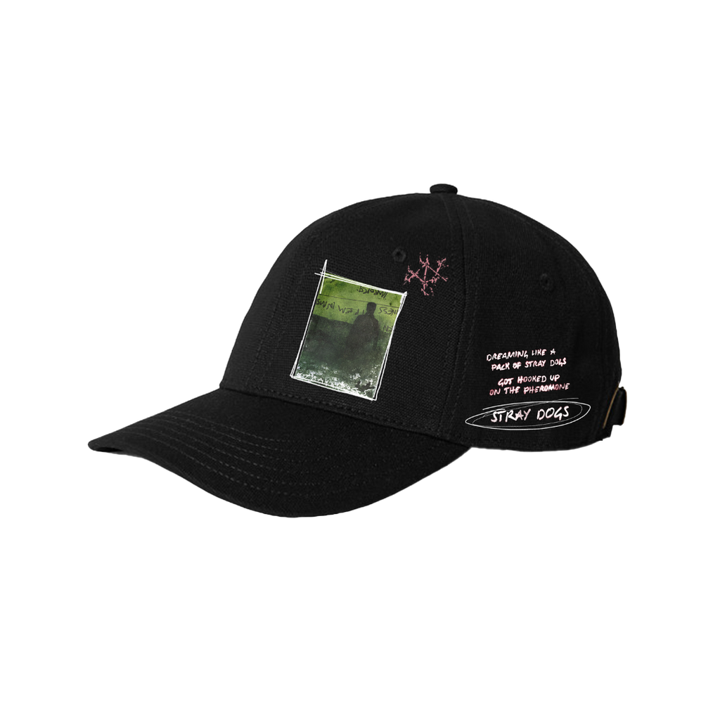 Stray Dogs Sketch Hat