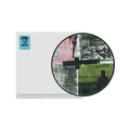 Stray Dogs - D2C Exclusive Picture Disc Vinyl w/ OBI strip